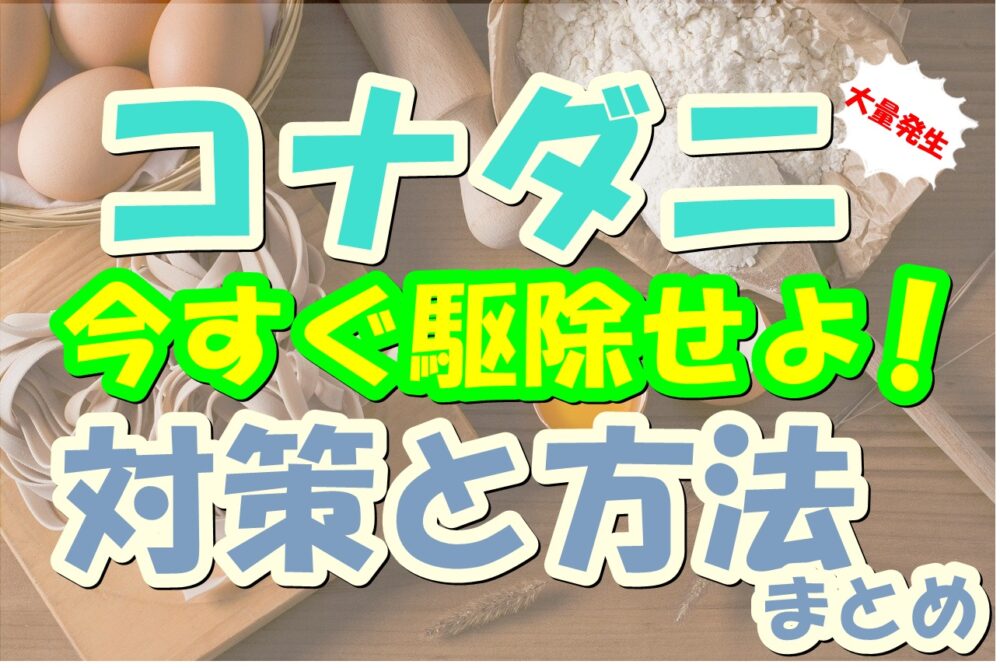 コナダニが大量発生 今すぐ駆除する方法と繁殖させない対策まとめ 寝室のダニさんキラー